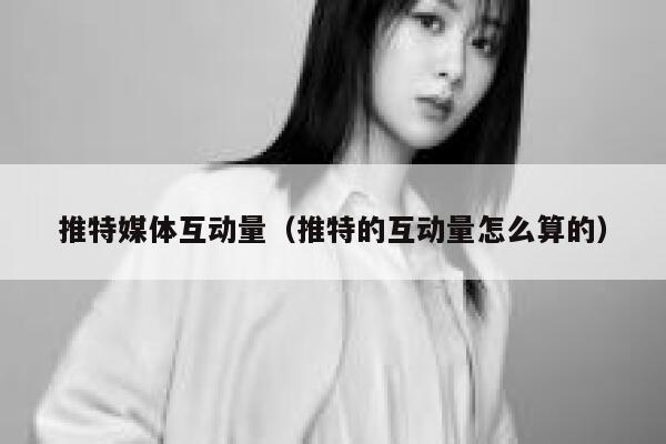 推特媒体互动量（推特的互动量怎么算的） 第1张