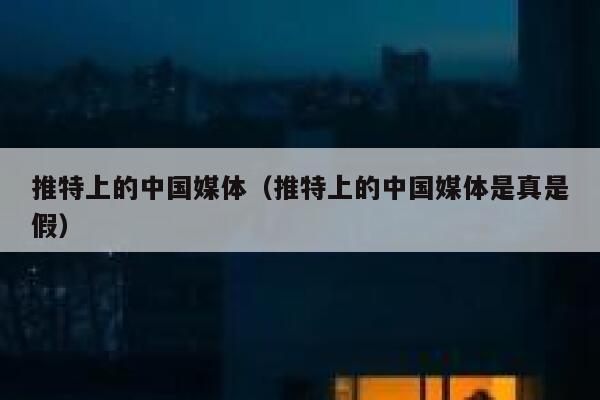 推特上的中国媒体（推特上的中国媒体是真是假） 第1张