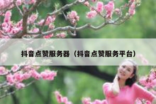 抖音点赞服务器（抖音点赞服务平台） 第1张