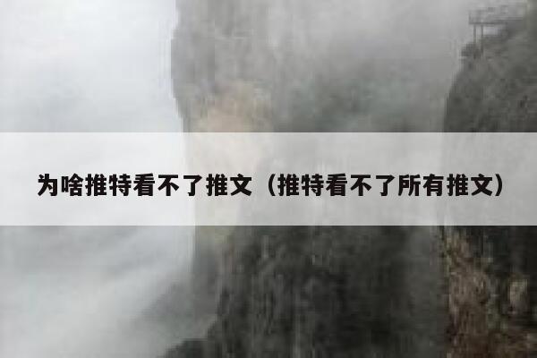 为啥推特看不了推文（推特看不了所有推文） 第1张