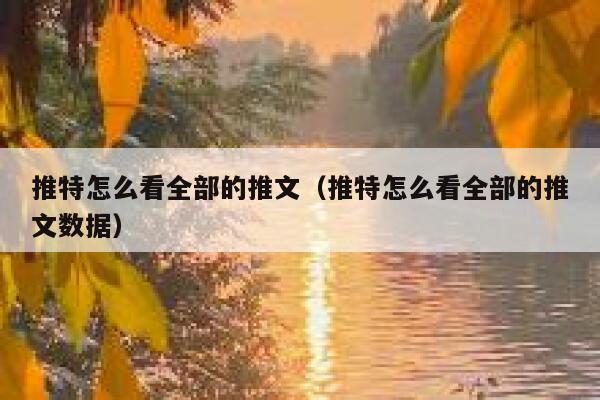 推特怎么看全部的推文（推特怎么看全部的推文数据） 第1张