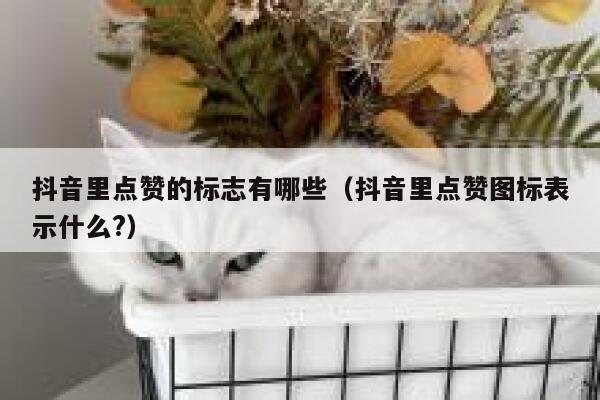 抖音里点赞的标志有哪些（抖音里点赞图标表示什么?） 第1张