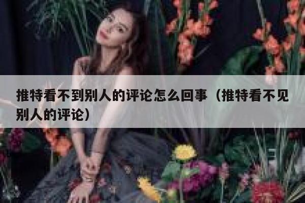 推特看不到别人的评论怎么回事（推特看不见别人的评论） 第1张