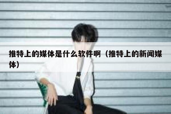 推特上的媒体是什么软件啊（推特上的新闻媒体） 第1张