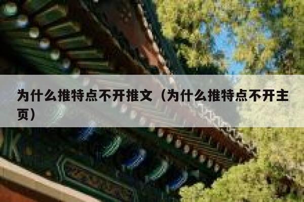 为什么推特点不开推文（为什么推特点不开主页） 第1张