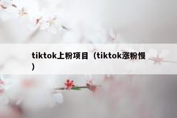 tiktok上粉项目（tiktok涨粉慢） 第1张