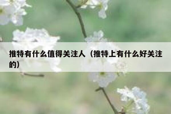 推特有什么值得关注人（推特上有什么好关注的） 第1张