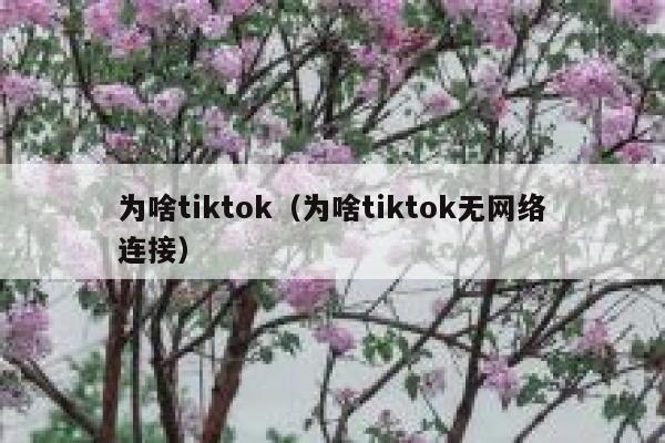 为啥tiktok（为啥tiktok无网络连接） 第1张