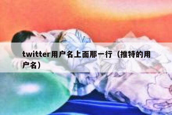 twitter用户名上面那一行（推特的用户名） 第1张