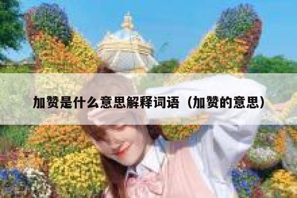 加赞是什么意思解释词语（加赞的意思） 第1张