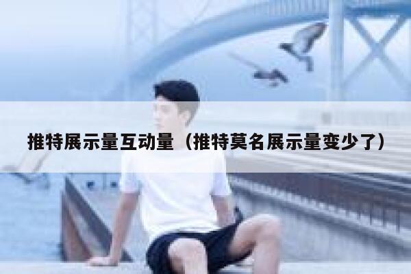 推特展示量互动量（推特莫名展示量变少了） 第1张