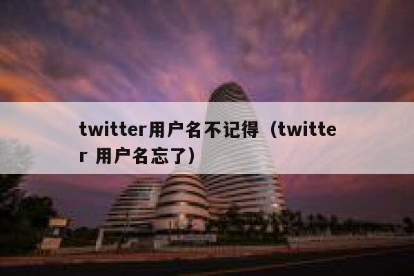 twitter用户名不记得（twitter 用户名忘了） 第1张