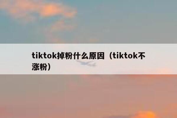 tiktok掉粉什么原因（tiktok不涨粉） 第1张