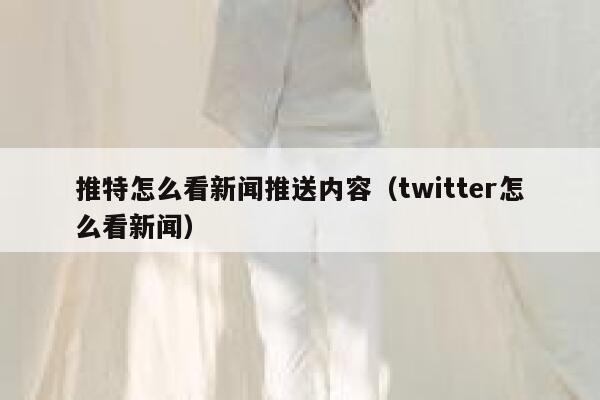 推特怎么看新闻推送内容（twitter怎么看新闻） 第1张