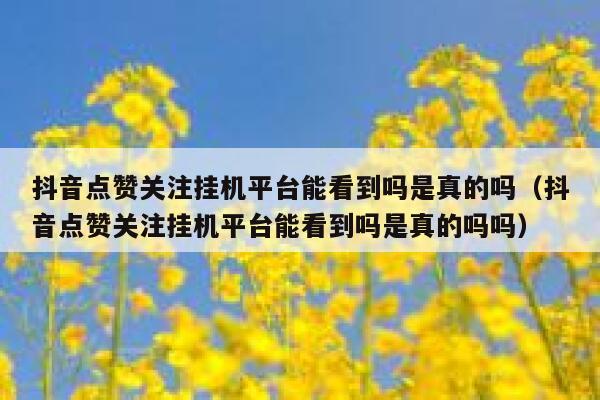 抖音点赞关注挂机平台能看到吗是真的吗（抖音点赞关注挂机平台能看到吗是真的吗吗） 第1张