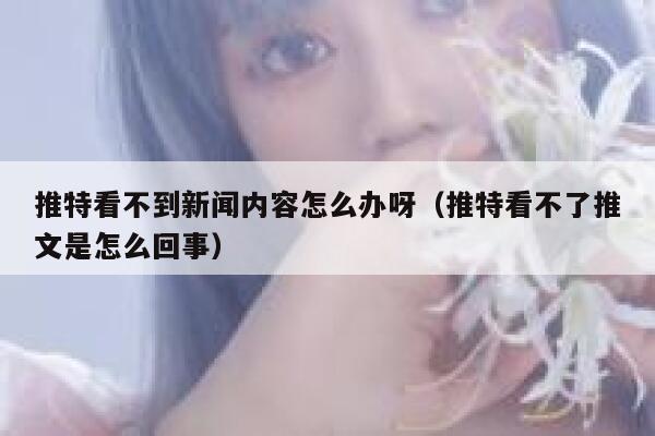 推特看不到新闻内容怎么办呀（推特看不了推文是怎么回事） 第1张