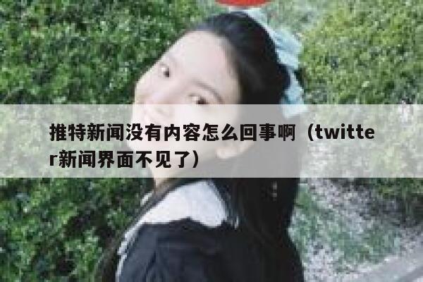 推特新闻没有内容怎么回事啊（twitter新闻界面不见了） 第1张