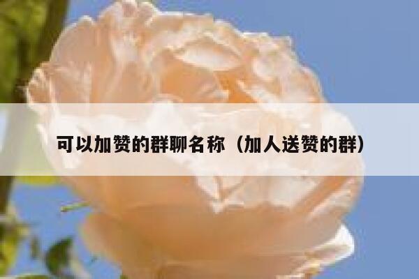 可以加赞的群聊名称（加人送赞的群） 第1张