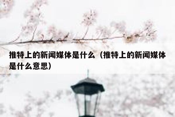 推特上的新闻媒体是什么（推特上的新闻媒体是什么意思） 第1张