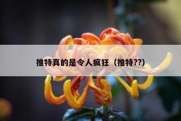 推特真的是令人疯狂（推特??） 第1张