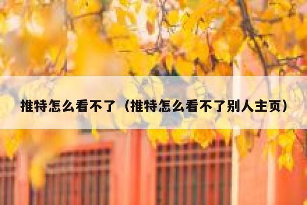 推特怎么看不了（推特怎么看不了别人主页） 第1张