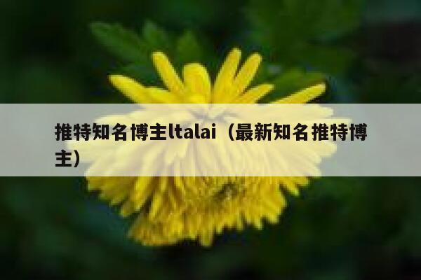 推特知名博主ltalai（最新知名推特博主） 第1张