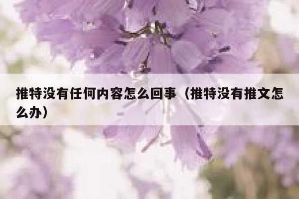 推特没有任何内容怎么回事（推特没有推文怎么办） 第1张