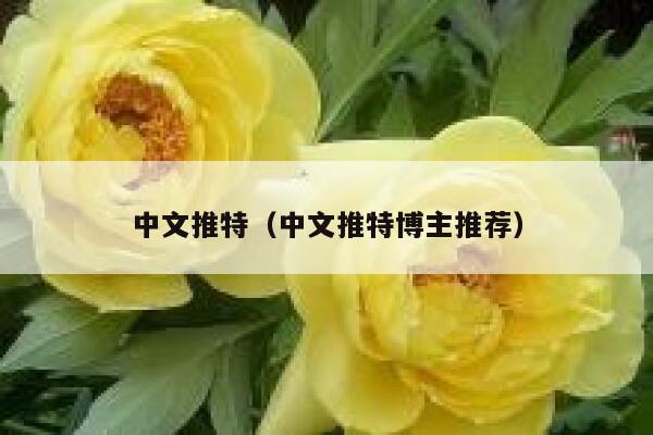 中文推特（中文推特博主推荐） 第1张