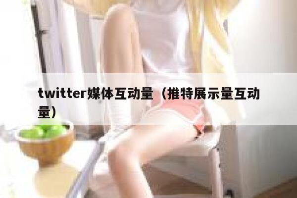 twitter媒体互动量（推特展示量互动量） 第1张
