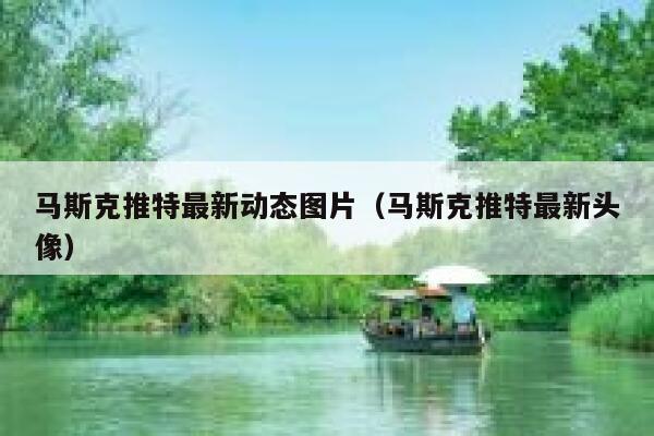 马斯克推特最新动态图片（马斯克推特最新头像） 第1张