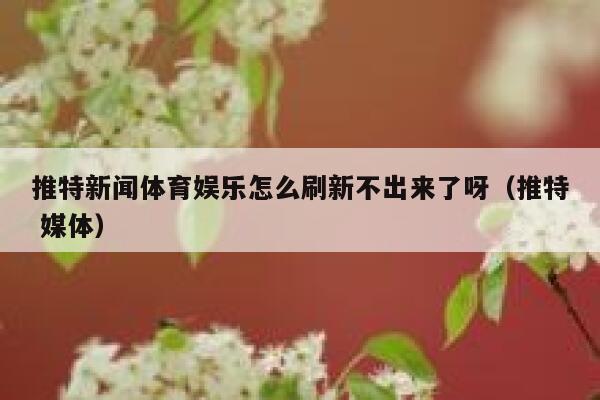 推特新闻体育娱乐怎么刷新不出来了呀（推特 媒体） 第1张