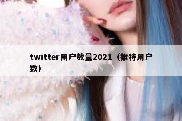 twitter用户数量2021（推特用户数） 第1张