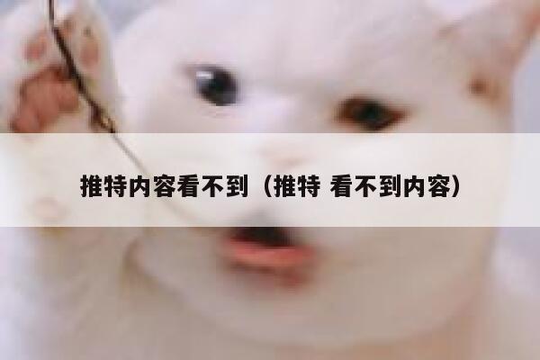 推特内容看不到（推特 看不到内容） 第1张