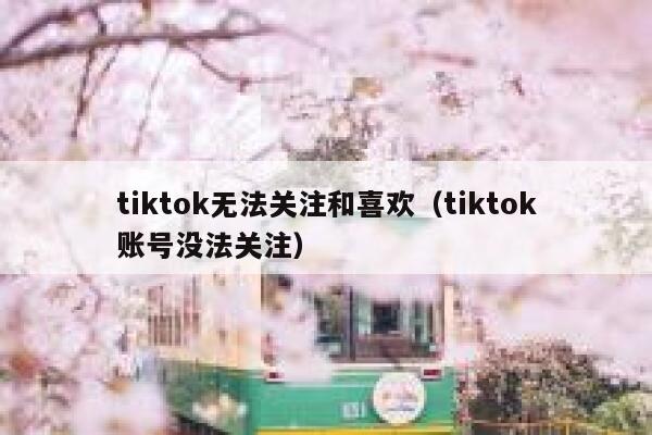 tiktok无法关注和喜欢（tiktok账号没法关注） 第1张