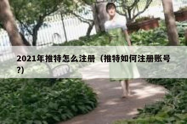 2021年推特怎么注册（推特如何注册账号?） 第1张