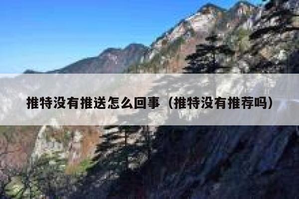 推特没有推送怎么回事（推特没有推荐吗） 第1张