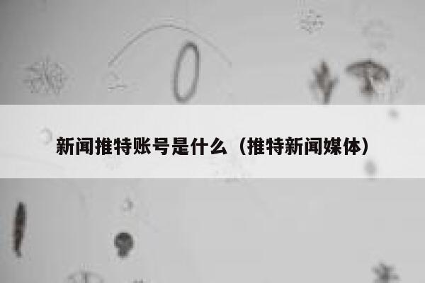 新闻推特账号是什么（推特新闻媒体） 第1张