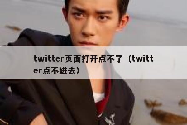 twitter页面打开点不了（twitter点不进去） 第1张
