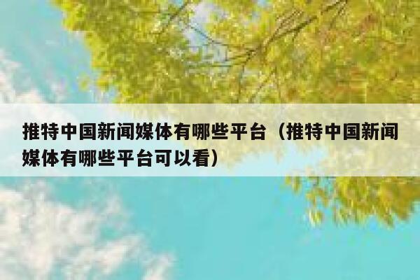 推特中国新闻媒体有哪些平台（推特中国新闻媒体有哪些平台可以看） 第1张