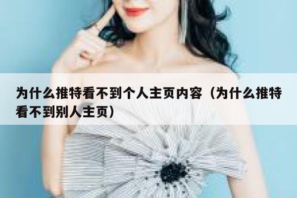 为什么推特看不到个人主页内容（为什么推特看不到别人主页） 第1张