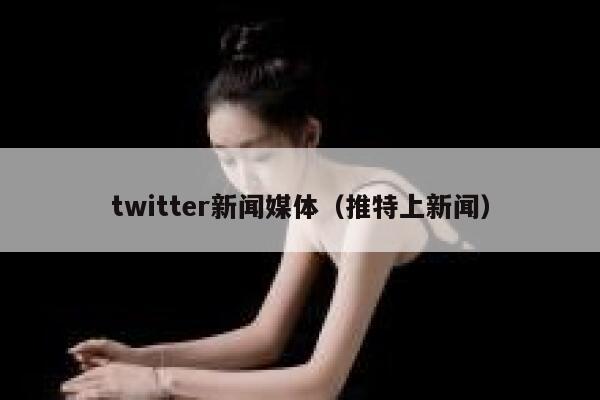 twitter新闻媒体（推特上新闻） 第1张