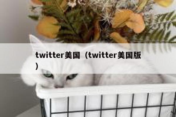 twitter美国（twitter美国版） 第1张