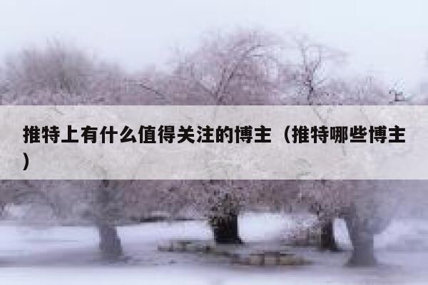 推特上有什么值得关注的博主（推特哪些博主） 第1张