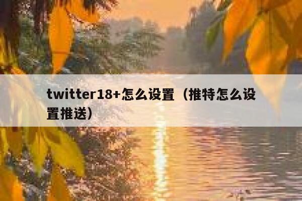 twitter18+怎么设置（推特怎么设置推送） 第1张