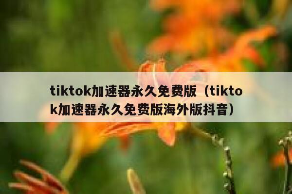 tiktok加速器永久免费版（tiktok加速器永久免费版海外版抖音） 第1张