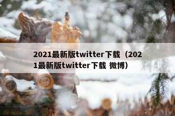 2021最新版twitter下载（2021最新版twitter下载 微博） 第1张