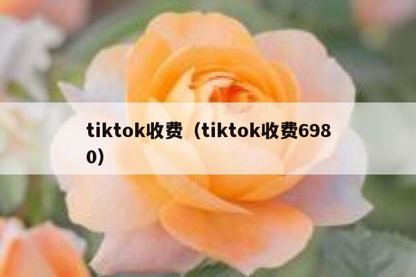 tiktok收费（tiktok收费6980） 第1张