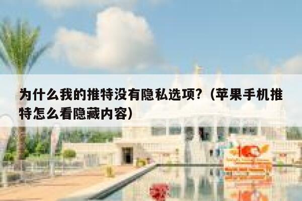 为什么我的推特没有隐私选项?（苹果手机推特怎么看隐藏内容） 第1张