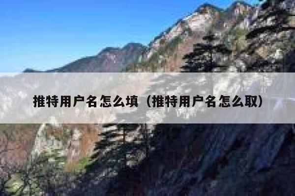 推特用户名怎么填（推特用户名怎么取） 第1张