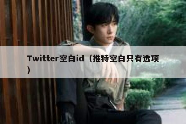 Twitter空白id（推特空白只有选项） 第1张
